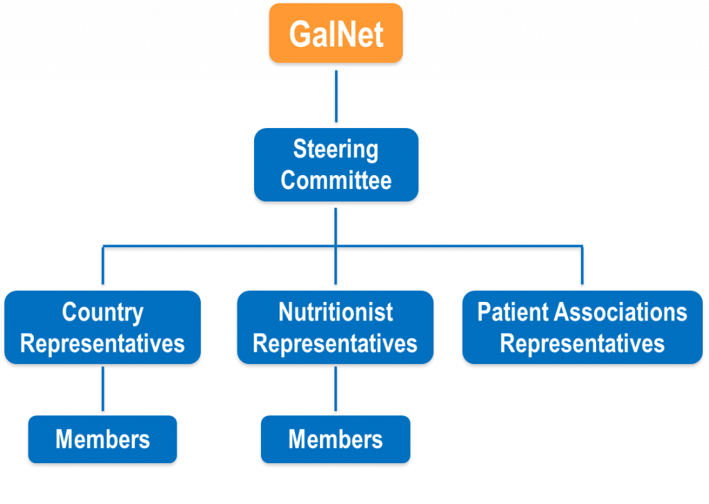 organizational structure