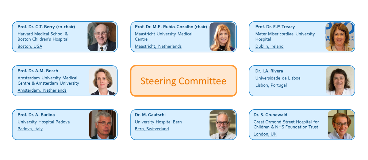 Steering committee members